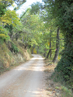 Chi vedrà la Madonnella? DSCN1169