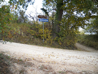 Chi vedrà la Madonnella? DSCN1180