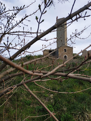 Mi presento: sono la Madonnella di Pitino IMG 20190407 WA0030