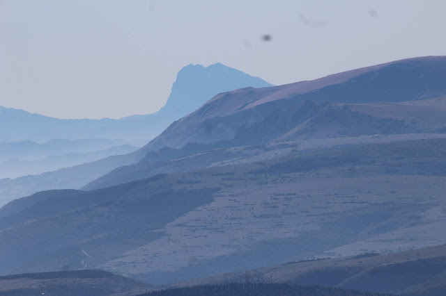 Il Monte San Vicino da Frontale IMG 4223
