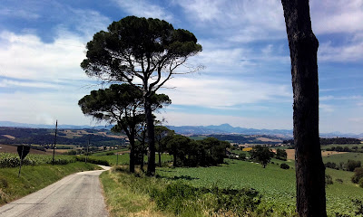 Le strade più belle delle Marche: la cresta di Offagna Osimo Osteriola 2016 06 29 12.13.54