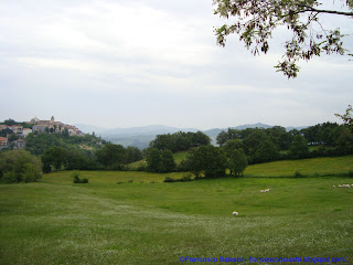 Monte Grimano da Case Nuove (da Appunti di Romagna) 2012 05 20 027