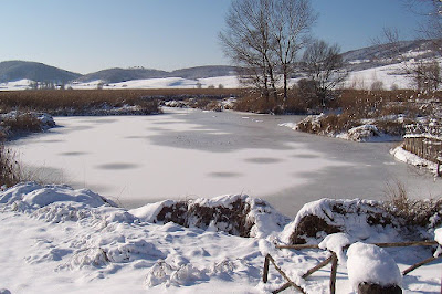 Valico di Colfiorito Oasi Innevata Pic