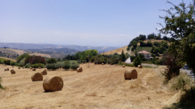 Acquaviva Picena (Crinale dei Piceni) IMG 20170713 132500