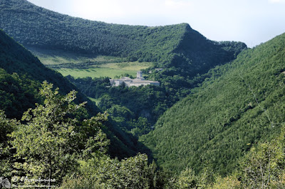 Forchetta di Fonte Avellana FA 3 Lavventuriero