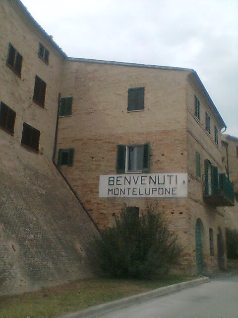Montelupone - Contrada Maffeo MONTELUPONE1 O