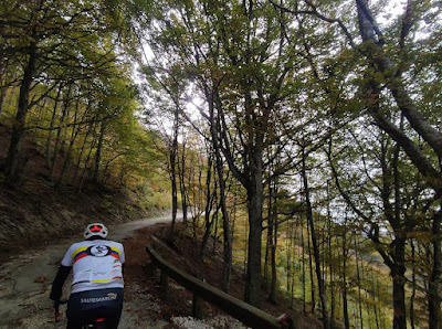 Monte Catria da Chiaserna IMG 20231101 112749