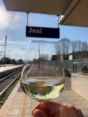 Verdicchio Wine Stage - Prova della 6a Tappa della Tirreno Adriatico 2019 (Matelica-Jesi) 51732489 10213938346996714 7666648770913763328 N 1
