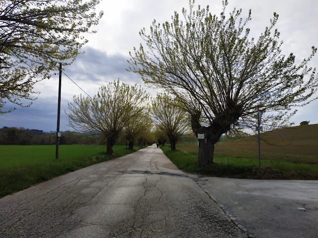 Becetta, Col della Croce e gli altri monti di Treia IMG 20190407 WA0004