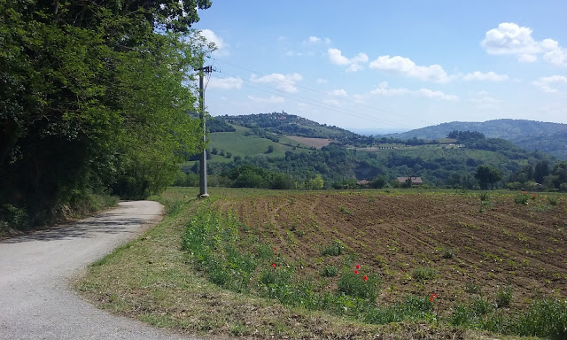 Rosora e i suoi due muri Rosora Sud 3