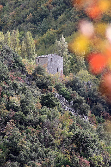 Caprareccia (Acquarella) IMG 4540