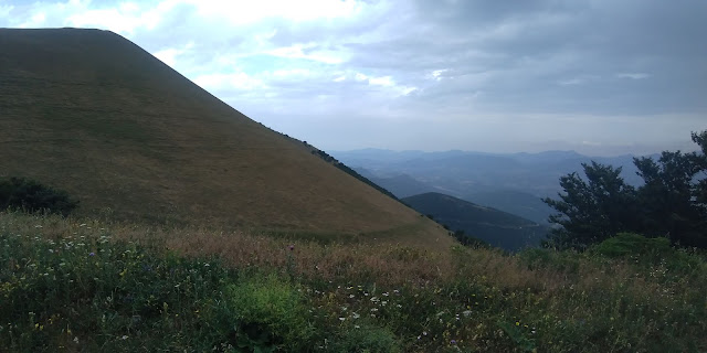 P 20190622 121906