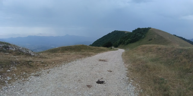 P 20190622 122111