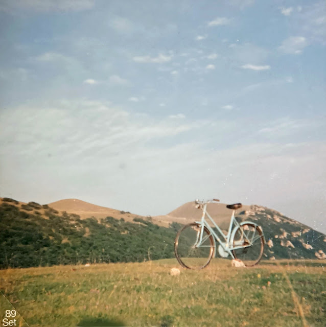 Valico della Morca (Monte Gemmo e Colle di Cardine) Gemmo2