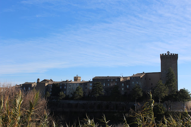 IMG 4527