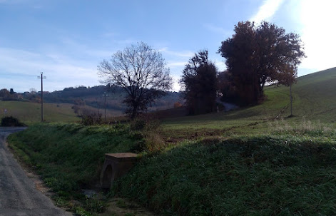 Casone (Montefano) P 20191217 114246
