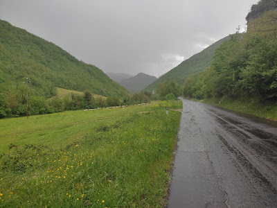 Valico di Selvapiana 1620927403601569 0