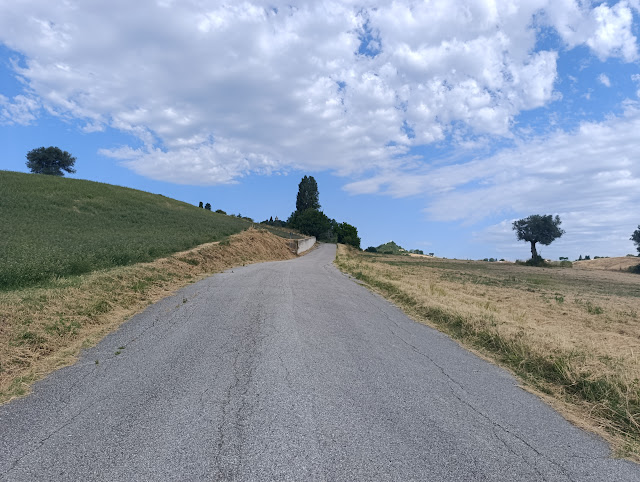 IMG 20250720 085252