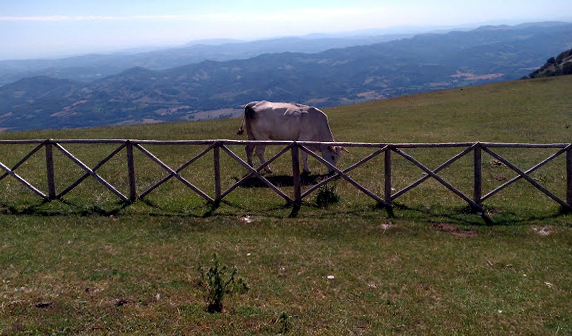 Monte Cucco (Umbria) 1594237089522198 6