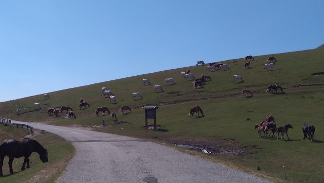Monte Cucco (Umbria) 1594237137971723 0