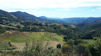 Serre di Burano 1595787007793262 0