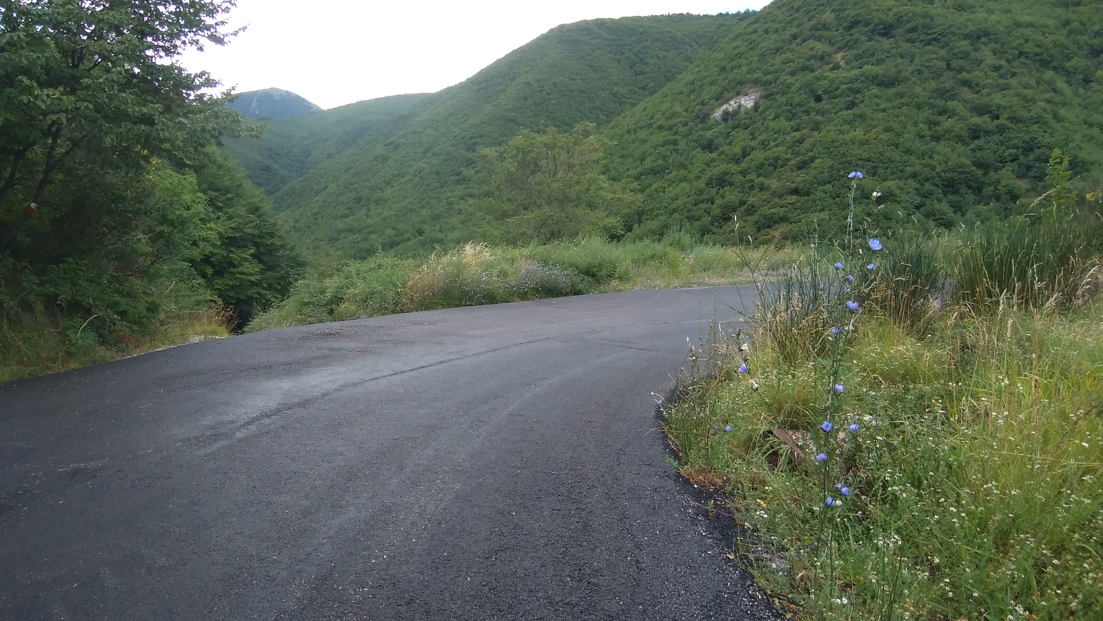 Poggio San Vicino da Sant'Urbano 1595164861435565 5