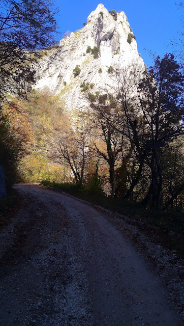 Monte Catria da Fonte Avellana - Le Scalette e la Croce P 20201109 110902