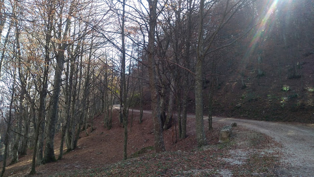 Monte Catria da Fonte Avellana - Le Scalette e la Croce P 20201109 115351