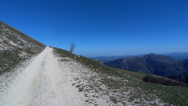 Monte Catria da Fonte Avellana - Le Scalette e la Croce P 20201109 121907