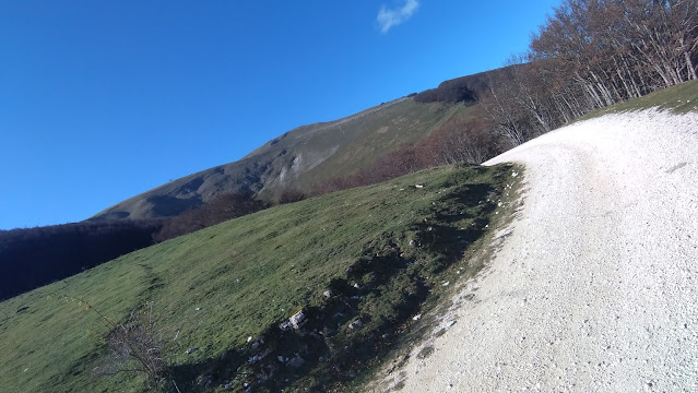 Monte Catria da Fonte Avellana - Le Scalette e la Croce P 20201109 122735