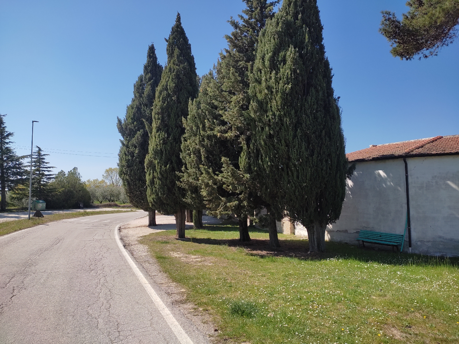 Jesi e i Castelli del Nord 1619530609347420 6