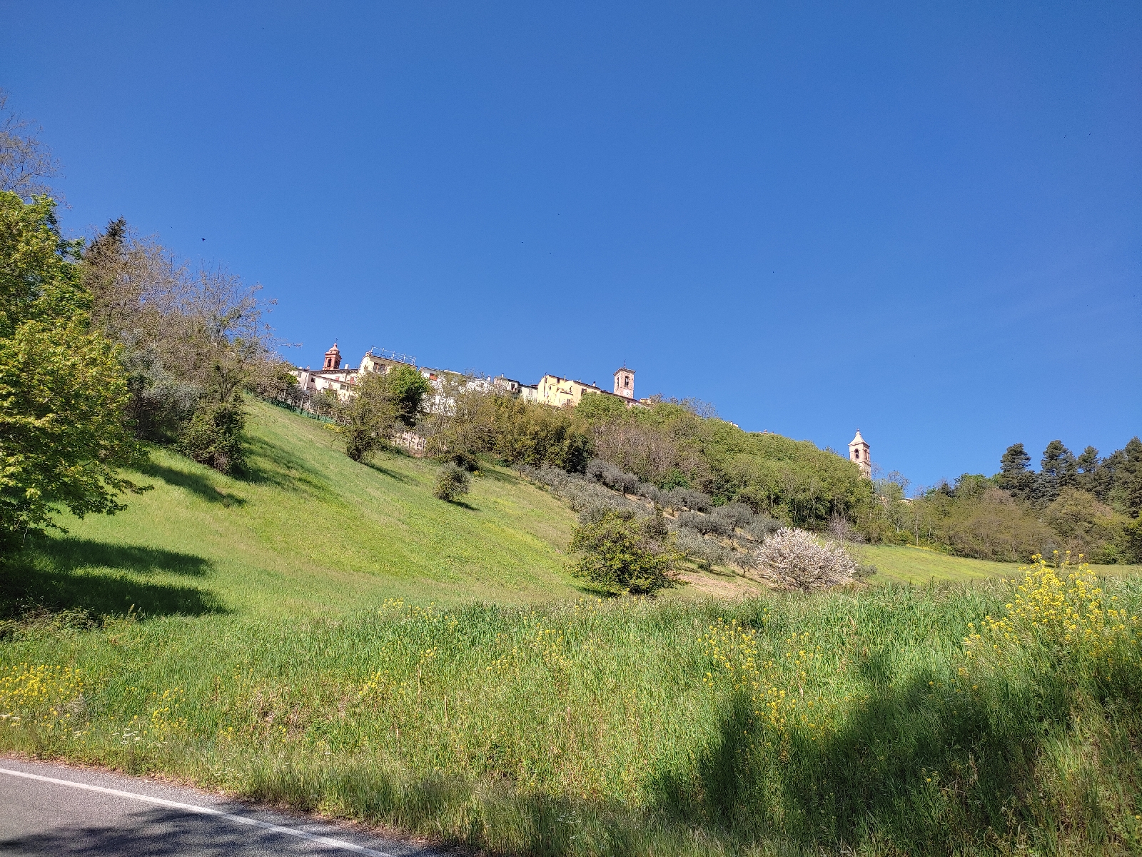 Jesi e i Castelli del Nord 1619530633643254 5