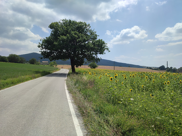 IMG 20240708 115753