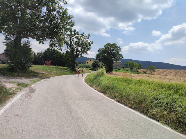 IMG 20240708 115904