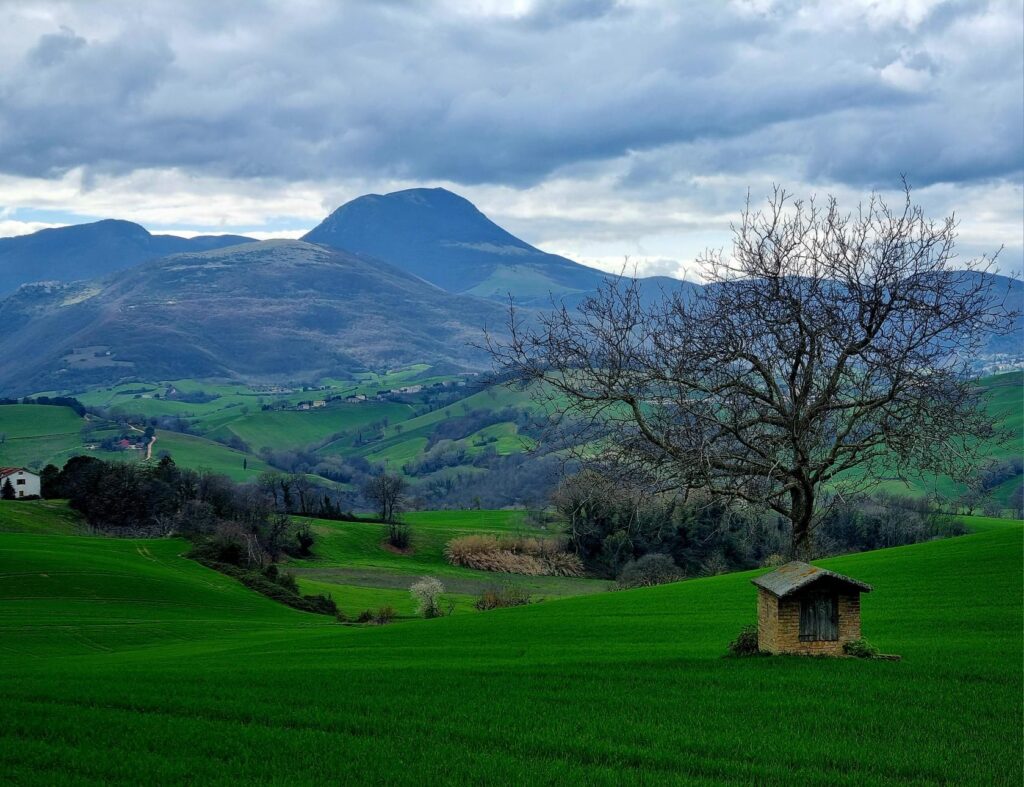 san vicino da marcucci di cingoli foto eastwood