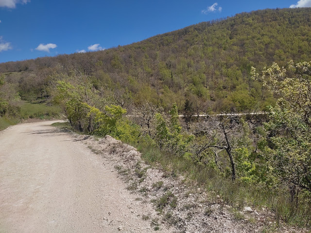 Colle Montuli (Forchiusa) e Monte Murano IMG 20220423 132944