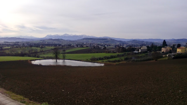 La Campetella (Muro di Pollenza) e le colline che non vedremo mai al Giro d'Italia 2014 12 27 10.19.58