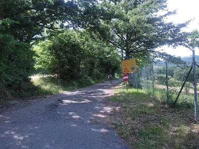 IMG 20220616 153734