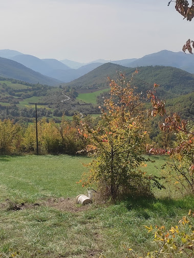 Monte di Renaro Renaro