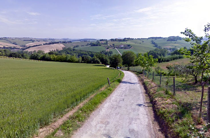 Pellucca vero muro di Filottrano Pellucca E Sabbionicci 1430646540