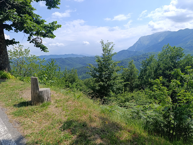 IMG 20250622 151919