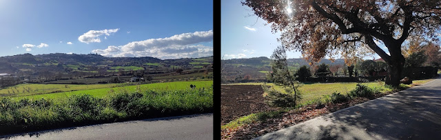 TIRRENO ADRIATICO2023 Osimo 12 Gattara