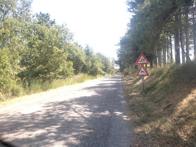 Monte Osteriaccia per Valle Avellana IMG 20230825 130532
