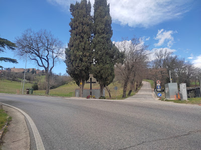 IMG 20230310 123549