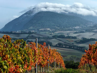 Un giro per l'estate CONERO VARANO 1471357 523030967793099 2118190673 N