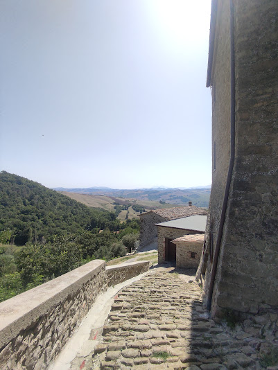 IMG 20230825 131259
