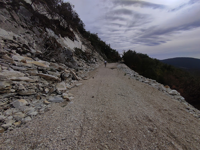 Monte Catria: post effimero sulla pedalabilità del Monte IMG 20231101 111128
