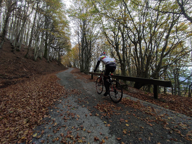 Monte Catria: post effimero sulla pedalabilità del Monte IMG 20231101 113729