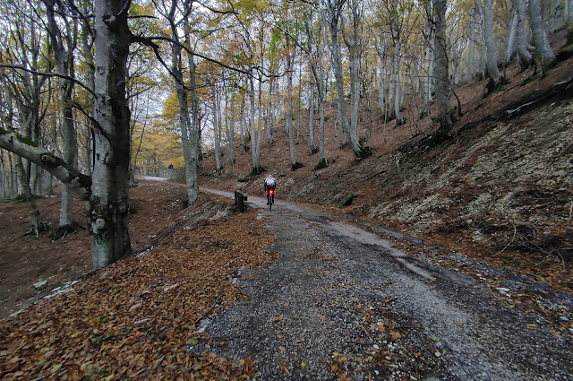 Monte Catria: post effimero sulla pedalabilità del Monte IMG 20231101 174716