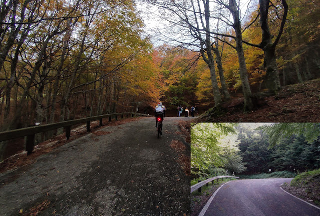 Monte Catria: post effimero sulla pedalabilità del Monte IMG 20231101 175450